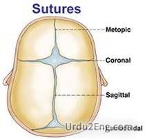 suture Urdu Meaning