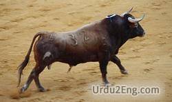 taurine Urdu Meaning