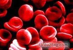 thalassemia Urdu Meaning