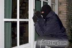 thief Urdu Meaning