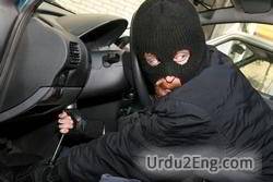 thief Urdu Meaning