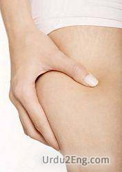 thigh Urdu Meaning