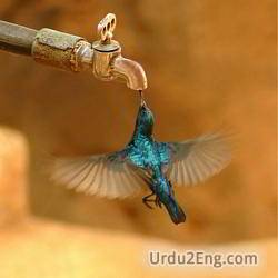 thirst Urdu Meaning