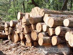 timber Urdu Meaning