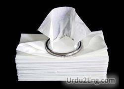 tissue Urdu Meaning