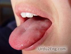 tongue Urdu Meaning