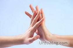 touch Urdu Meaning