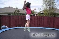 trampoline Urdu Meaning