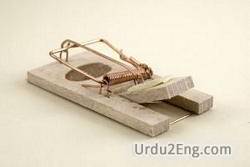 trap Urdu Meaning