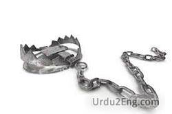 trap Urdu Meaning