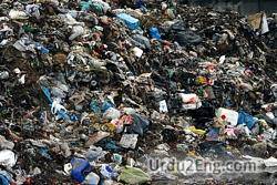 trash Urdu Meaning
