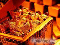 treasure Urdu Meaning