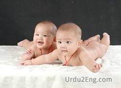 twin Urdu Meaning