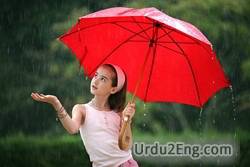 umbrella Urdu Meaning