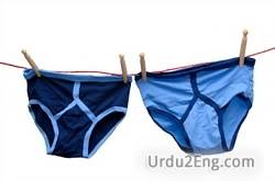 underwear Urdu Meaning