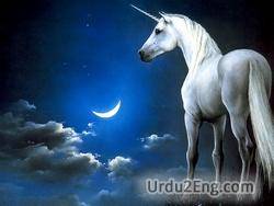 unicorn Urdu Meaning