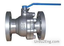 valve Urdu Meaning