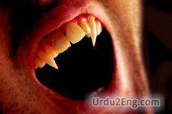 vampire Urdu Meaning