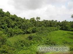 vegetation Urdu Meaning