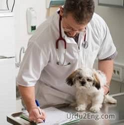 veterinary Urdu Meaning