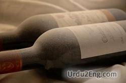 vintage Urdu Meaning