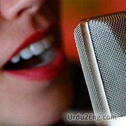 voice Urdu Meaning