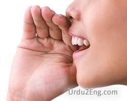 voice Urdu Meaning