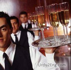 waiter Urdu Meaning