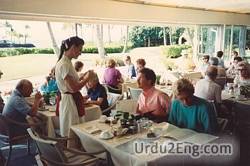 waitress Urdu Meaning