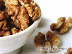 walnut Urdu Meaning