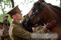 warhorse Urdu Meaning