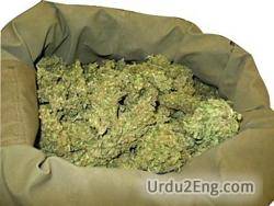 weed Urdu Meaning