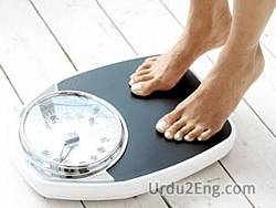 weight Urdu Meaning
