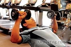 weight Urdu Meaning
