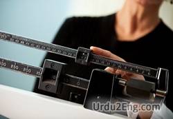 weight Urdu Meaning