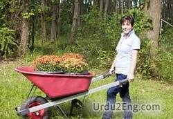 wheelbarrow Urdu Meaning