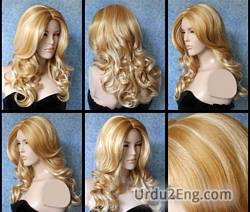 wig Urdu Meaning