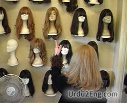 wig Urdu Meaning