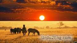 wildlife Urdu Meaning