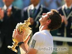 winner Urdu Meaning
