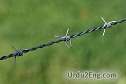 wire Urdu Meaning