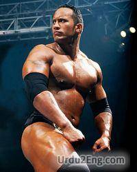 wrestler Urdu Meaning