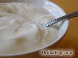 yogurt Urdu Meaning