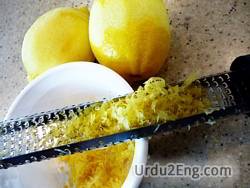 zest Urdu Meaning
