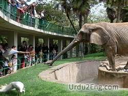 zoo Urdu Meaning