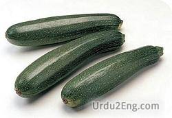 zucchini Urdu Meaning
